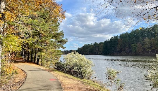 Best IT services in Apex NC